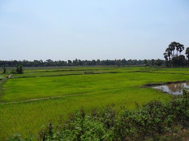 Green countryside