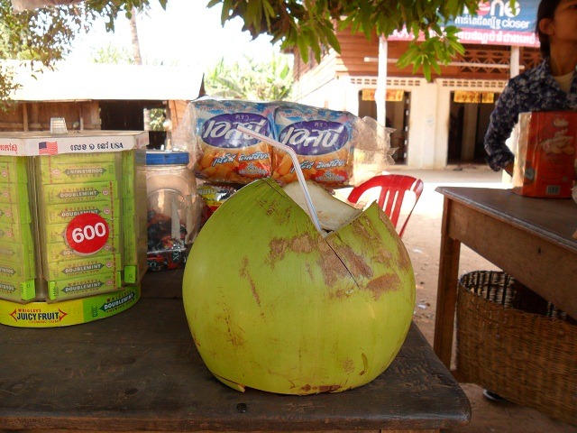 Large coconut