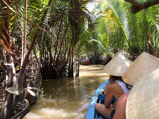 dense-amazonian-rainforest