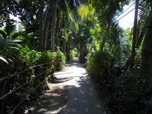 narrow-village-roads