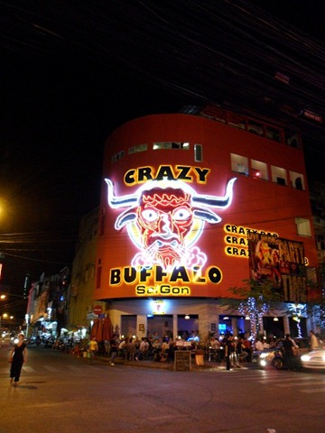 crazy-buffalo