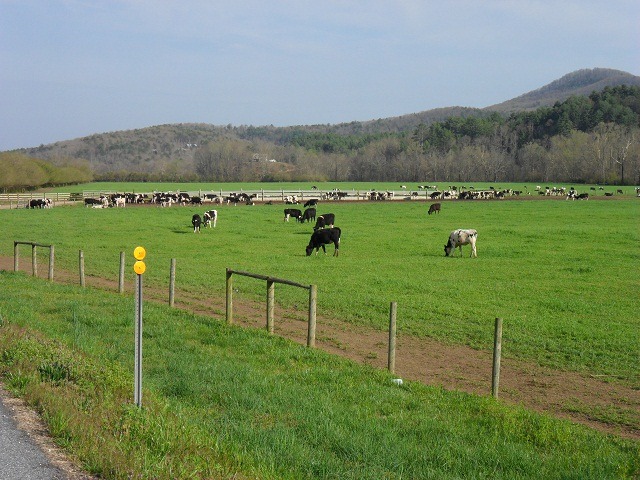 pastures