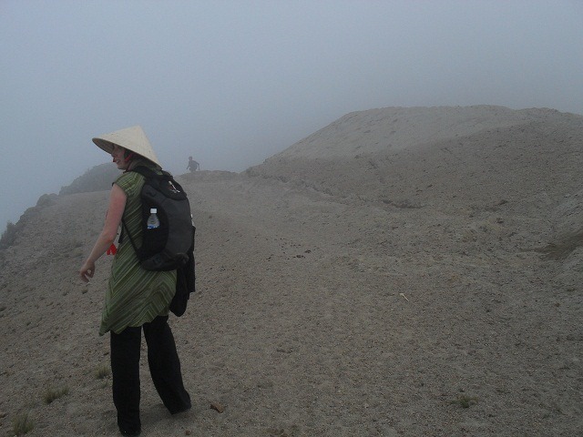 rainforest-to-the-moon