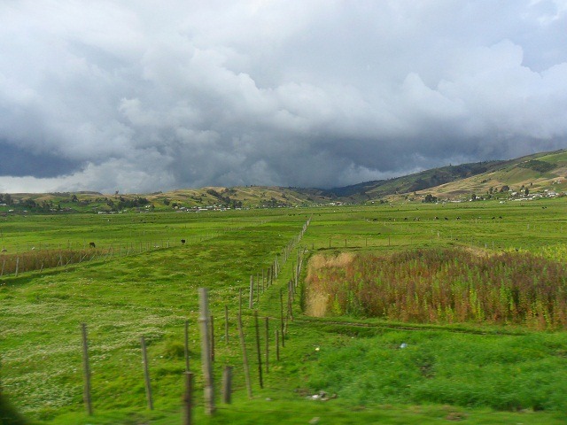 somewhere-along-the-way