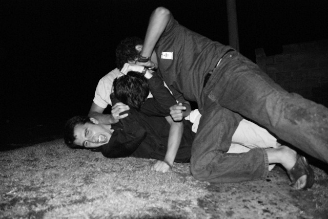 nicolas-googie-versus-matt