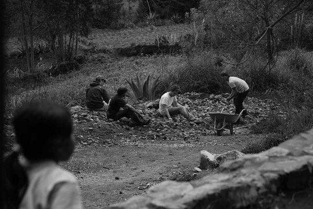 stones-into-wheelbarrow