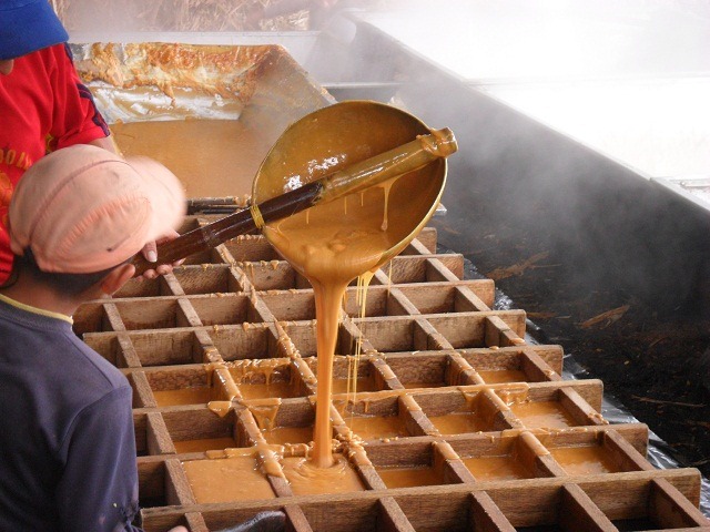 jaggery-being-made-into-bricks