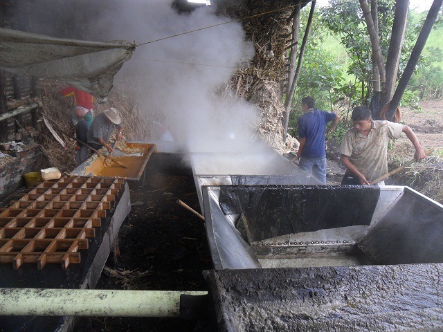 jaggery-making-workshop