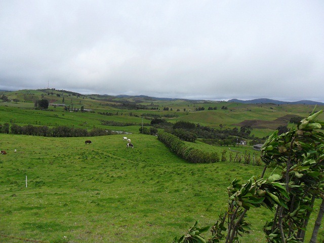 picturesque-landscapes-along-the-way