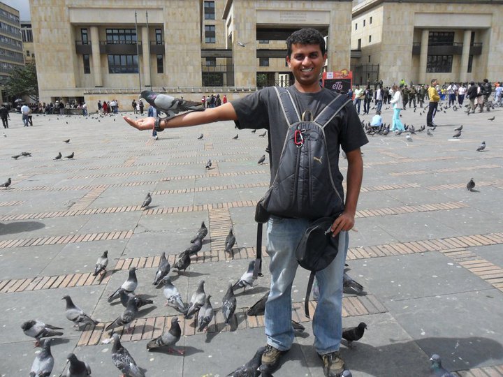 pigeons-in-bolivar-square
